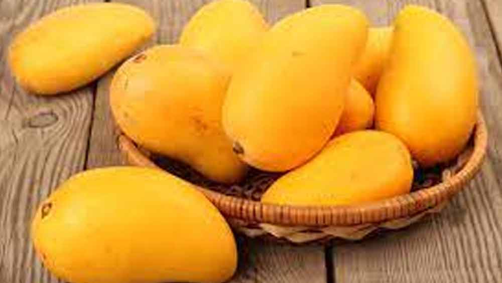 শুনতে একটু অদ্ভুত লাগছে তো! ডায়াবেটিকদের কথা ভেবে এ রকম মিষ্টিহীন আমই বাজারে এল।