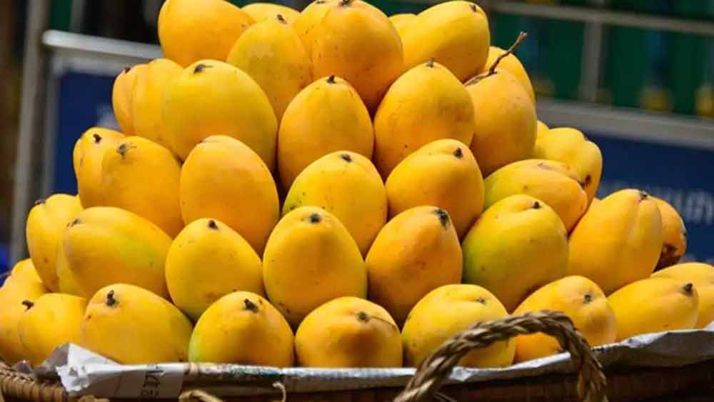 পাকিস্তানের এম এইচ পানওয়ার ফার্মের আম বিশেষজ্ঞ তিনি। অনেক পরীক্ষা-নিরীক্ষার পর এই মিষ্টিহীন আম তৈরি করেছেন তিনি।