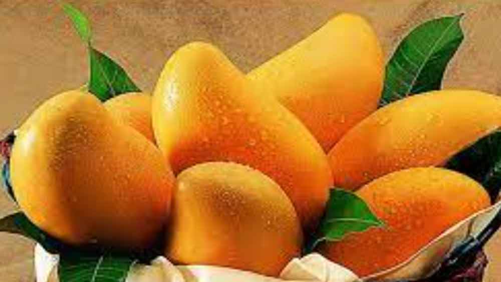 পাকিস্তানের বাজারে বিক্রির ছাড়পত্রও পেয়ে গিয়েছে এই মিষ্টিহীন আম। যার দাম নির্ধারিত হয়েছে প্রতি কিলো ১৫০ টাকা।