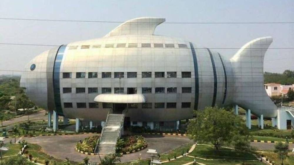 হায়দরাবাদের ফিশ বিল্ডিং বা মৎস্য ভবন আসলে জাতীয় মৎস্য দফতরের আঞ্চলিক অফিস। ২০১২ সালে তৈরি করা হয় বাড়িটি। স্থপতি ফ্র্যাঙ্ক গেরির বার্সালোনায় তৈরি ফিশ স্কাল্পচার দেখে অনুপ্রাণিত বাড়িটি। বিশাল ওই মাছের ভিতরে রয়েছে চার তলা অফিস।