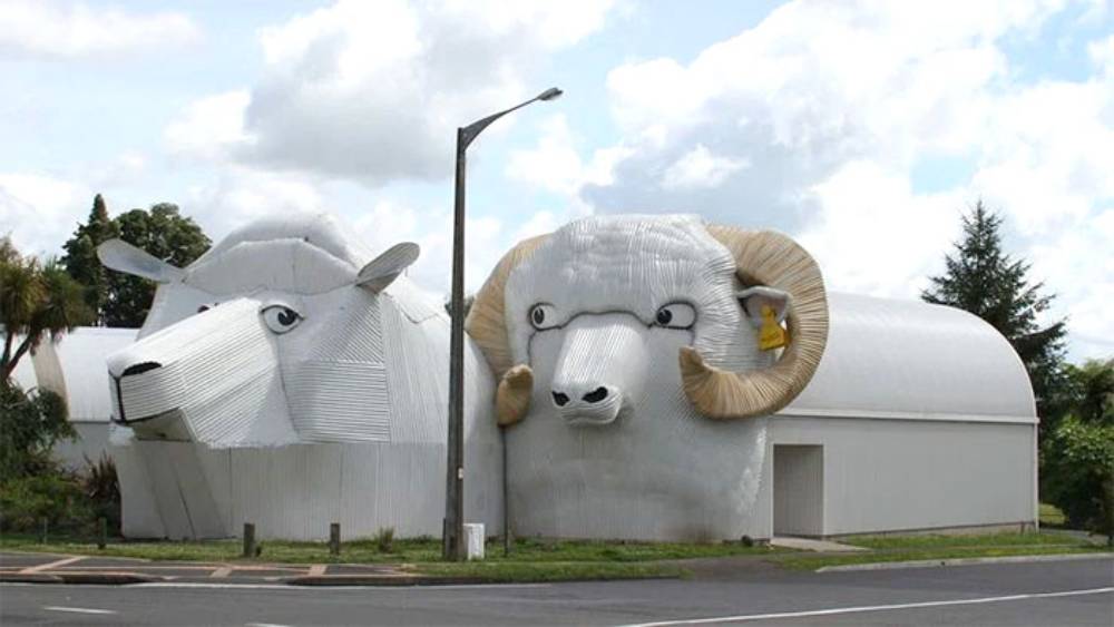 জীব জন্তুর আকৃতির বাড়ি  দেখা যায় নিউজিল্যান্ডের ছোট্ট শহর তিরাউয়ে। ৮০০ বাসিন্দার এই ছোট্ট শহরের পথে ঘুরলেই দেখা যাবে কুকুর, ভেড়া, বেড়ালের আকৃতির বাড়ি। এই বাড়ি গুলির কোনওটা পর্যটন কেন্দ্র, কোনওটা আবার উলের তৈরি জিনিসপত্র বা উপহারের দোকান।