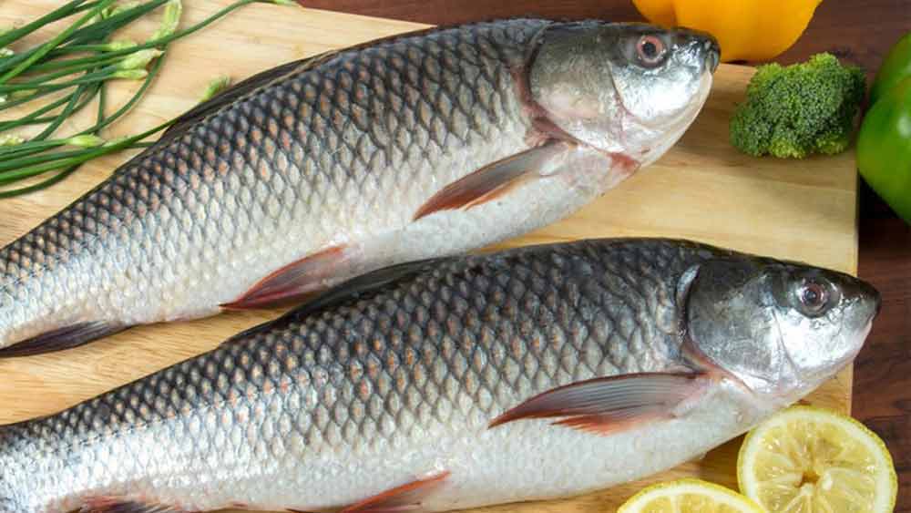 বর্ষার আনন্দ। 