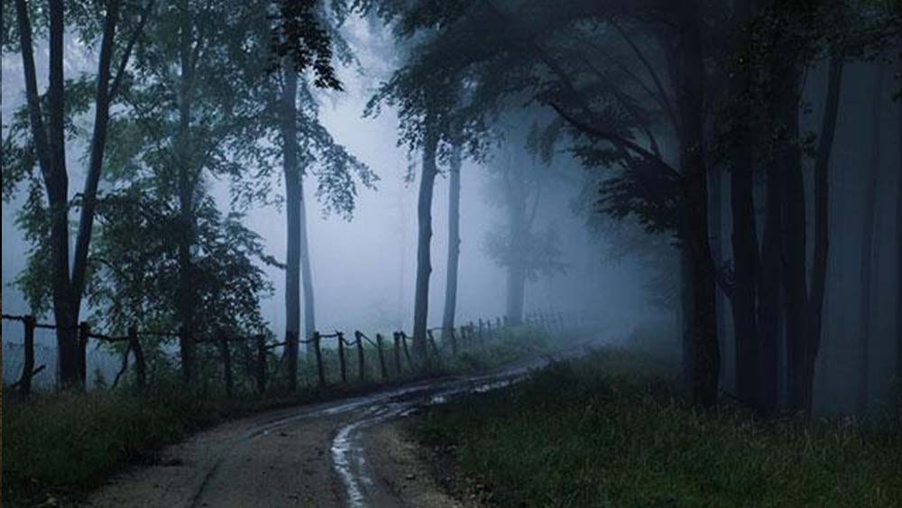 ডাউহিল, কার্শিয়াং, পশ্চিমবঙ্গ: এখানকার দু’টি স্কুল এবং তার চারপাশের এলাকায় প্রচুর অভিশপ্ত আত্মার বাস বলে অনেকে বিশ্বাস করেন। রাত হলেই তারা নাকি বেরিয়ে আসে।