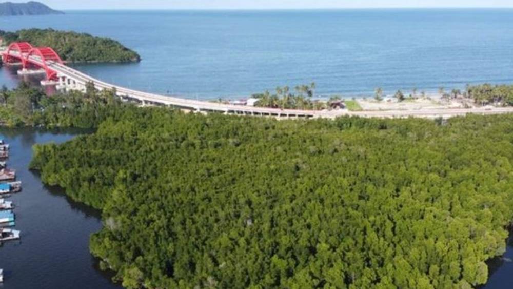 ইন্দোনেশিয়ার ৩৪টি প্রদেশের একটি হল পাপুয়া। এর উত্তরে প্রশান্ত মহাসাগর দক্ষিণে আরফুরা সমুদ্র। মহিলারা জানিয়েছেন, ভাটার সময় কাঠের নৌকায় চেপে বেরিয়ে পড়েন তাঁরা। সারা দিন থাকেন জঙ্গলেই। লম্বাটে কাঠের ওই নৌকার নাম ‘কোলে কোলে’। তার ভিতরে থাকে তাঁদের দুপুরের খাবার। জঙ্গলে ঝিনুক সংগ্রহ করতে গোটা দিন কেটে যায়। তাই দুপুরের খাবার সঙ্গে রাখা।