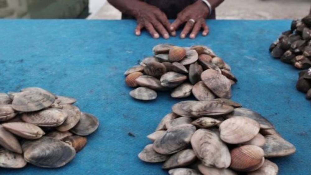 স্থানীয় প্রশাসনের কথায়, শুধু মহিলাদের জন্য এমন জঙ্গল গোটা ইন্দোনেশিয়ায় আর আছে কি না তাঁদের জানা নেই। তবে এই জঙ্গলের জন্য তাঁরা গর্ববোধ করেন। কারণ, পুরুষের মনের কথা বলার অনেক জায়গা থাকে। তাঁরা মনে করেন, মহিলাদেরও তেমন সুযোগ থাকা উচিত। 