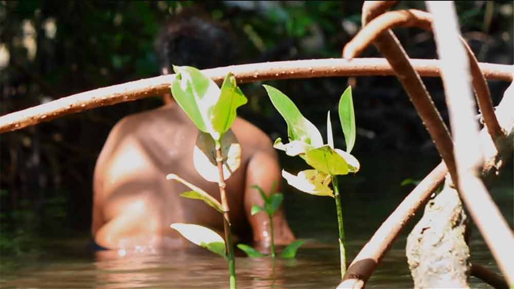 সমুদ্র লাগোয়া জঙ্গলের জলাভূমিতে নেমে ঝিনুক সংগ্রহ করেন মেয়েরা।  কাদা জলে পোশাক নষ্ট হতে পারে ভেবেই হয়তো চালু হয়েছিল পোশাক ছাড়ার নিয়ম।