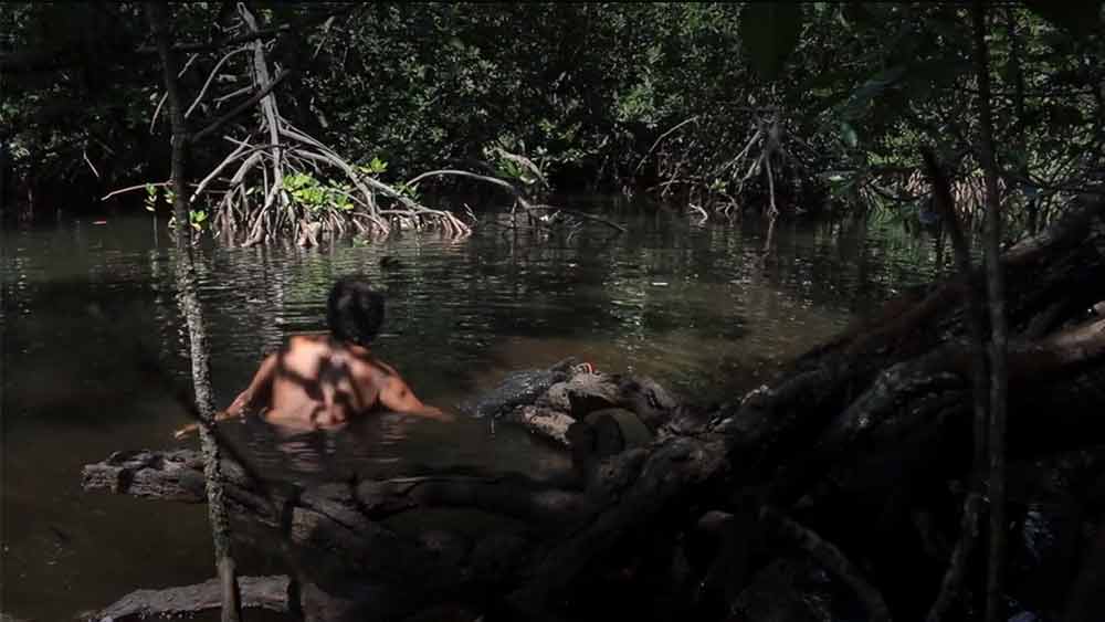 জরিমানার পরিমাণ নেহাৎ কম নয়। জঙ্গলে প্রবেশ করার জন্য ১০ লক্ষ রুপাইয়া (স্থানীয় মূদ্রা) জরিমানা দিতে হয়। যা ভারতীয় মূদ্রায় পাঁচ হাজার টাকার কাছাকাছি।