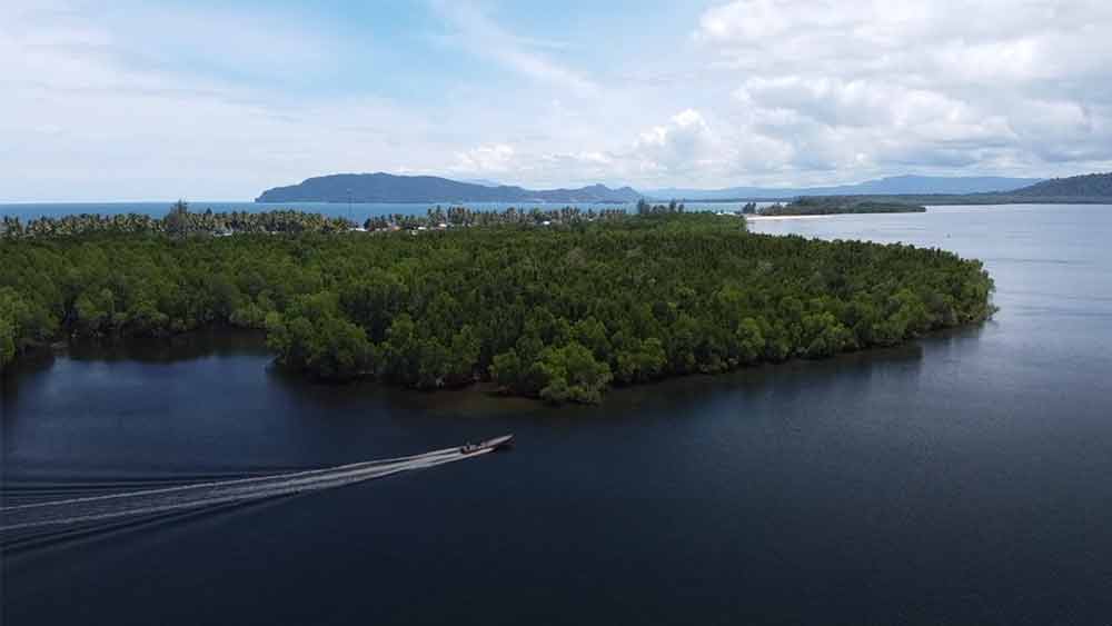 রাজধানী জয়পুরার ক্যামপাং এনগ্রোসের মাঝামাঝি ওই ম্যানগ্রোভ অরণ্য ছড়িয়ে আছে প্রায় ৮ হেক্টর এলাকা জুড়ে। 