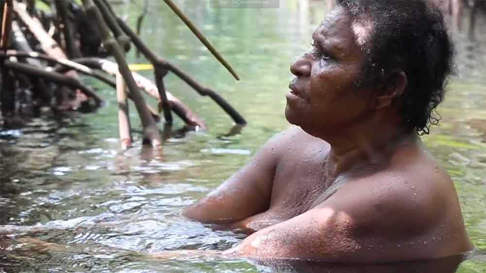 এই নিয়ম কবে থেকে চলে আসছে কেউ জানেন না। তবে স্থানীয়রা জানিয়েছেন, তাঁরা তাঁদের মা, ঠাকুমাদের কাছেও এই একই কাহিনি শুনেছেন। প্রচলিত কাহিনী থেকেই জেনেছেন এই জঙ্গলের সঙ্গে স্থানীয়দের সখ্যতা না কি ১৮০৮ সাল থেকে। 