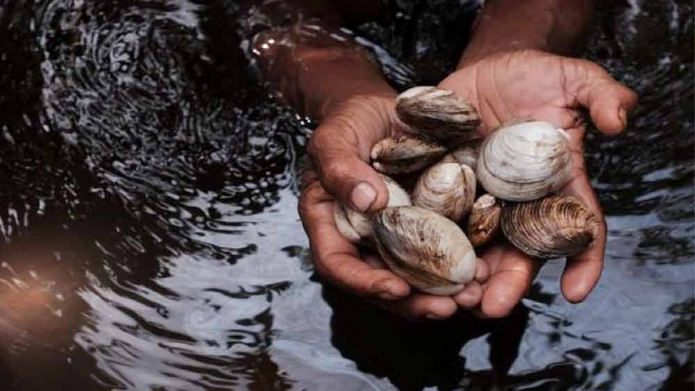 পাপুয়ার বাসিন্দাদের পছন্দের খাবার ঝিনুক এবং নানারকম ফলের জোগান দেয় এই অরণ্য। সে সব সংগ্রহ করে আনার কাজও মেয়েরাই করে থাকেন। 