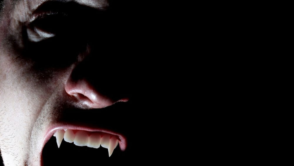 তৃতীয় ভ্লাদ সে কারণে ছিলেন ‘ড্রাকুলের সন্তান’। সংক্ষেপে, ড্রাকুলি বা ড্রাকুলা।