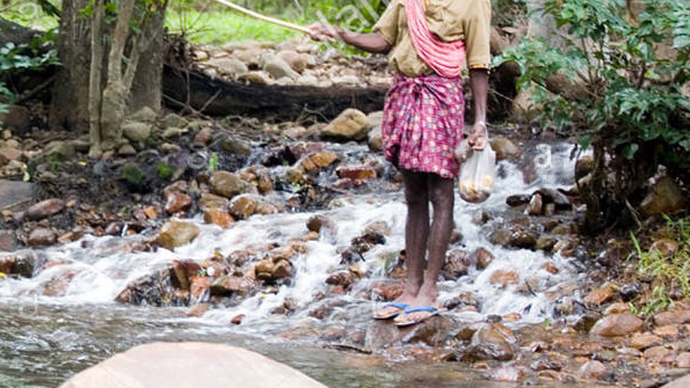 এ দিকে হবু বরও দলবল নিয়ে কনের খোঁজে হন্যে হয়ে জঙ্গলে খোঁজ করতে শুরু করতেন। হবু কনেকে খুঁজে পেতে অনেকেরই দিনের পর দিন জঙ্গলেই কেটে যেত।