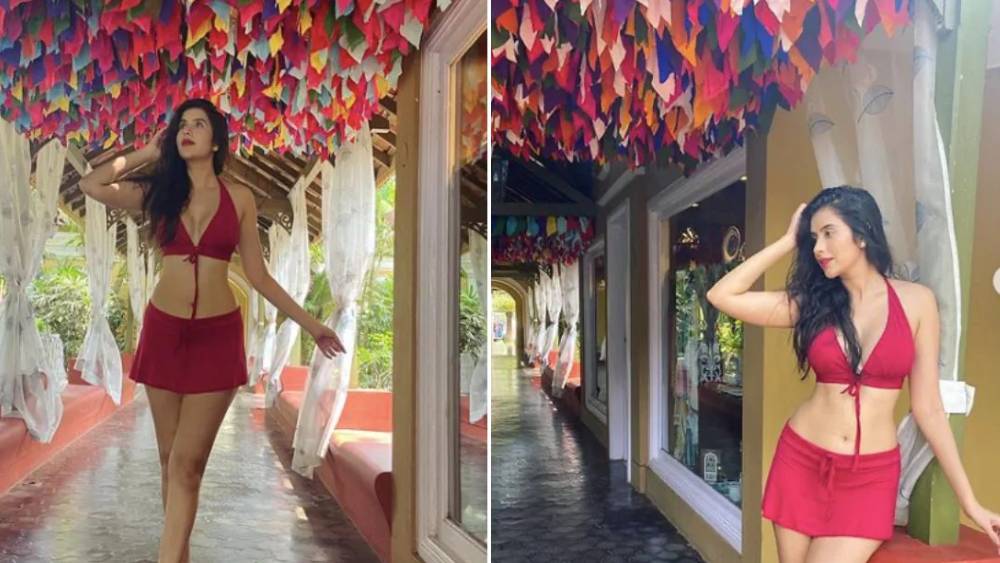 তবে নেটমাধ্যমে সবথেকে বেশি চর্চিত গাঢ় লাল হ্রস্ব পোশাকে চারুর ছবি। সেখানে তাঁর শরীরী বিভঙ্গে মুগ্ধ অনুরাগীরা।