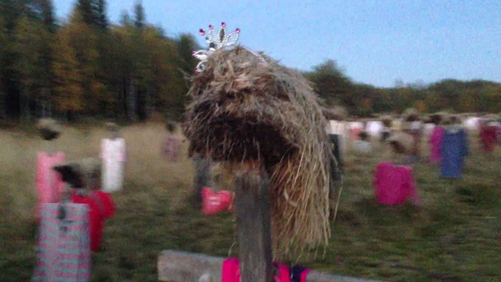 রাস্তার ধারে ‘নির্বাক মানুষ’গুলির উপস্থিতি আজও রহস্যই রয়ে গিয়েছে। অনেকের মতে আবার ইচ্ছাকৃত ভাবেই শিল্পী বিষয়টিকে রহস্যেই রাখতে চেয়েছেন।