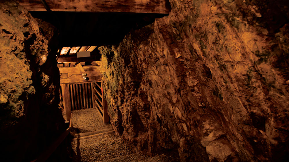 প্রথম ভার্জিনিয়ায় সোনার সন্ধান পাওয়া যায়। সেটি ছিল ১৭৮২ সাল। তবে আমেরিকার প্রথম বাণিজ্যিক ভাবে সোনা উত্তোলন শুরু হয় নর্থ ক্যারোলিনার মিডল্যান্ডের রিড ফার্ম স্বর্ণখনিতে।