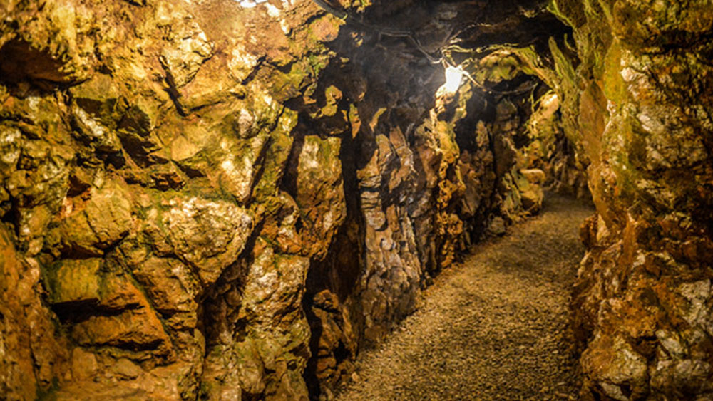 আমেরিকায় এ রকম একাধিক সোনার খনি রয়েছে। কলোরাডো, ফ্লোরিডা, জর্জিয়া, ইদাহো, মিশিগান, মন্টানা, নিউ মেক্সিকো, নর্থ ক্যারোলিনাও সোনার খনি রয়েছে।