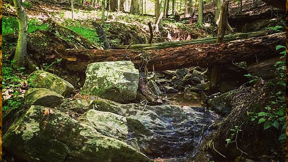 ফলে সোনার চাহিদা পূরণ হচ্ছিল না। বাজারে ওই সোনা বিক্রি করে উত্তোলনের খরচের জোগানও কমে আসছিল। ক্রমশ ক্ষতি হচ্ছিল কোম্পানির। তাই ঝাঁপ বন্ধ করে দেওয়া হয় সংস্থার।