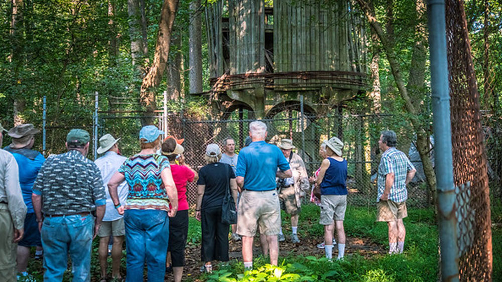 জানা যায়, এই অঞ্চলে খুব বেশি সোনা উত্তোলন হত না। ১৮৬৭ সাল থেকে ১৯৩৯ সাল পর্যন্ত মাত্র ১৯০ কেজি সোনা উত্তোলন করতে পেরেছিল সংস্থা।