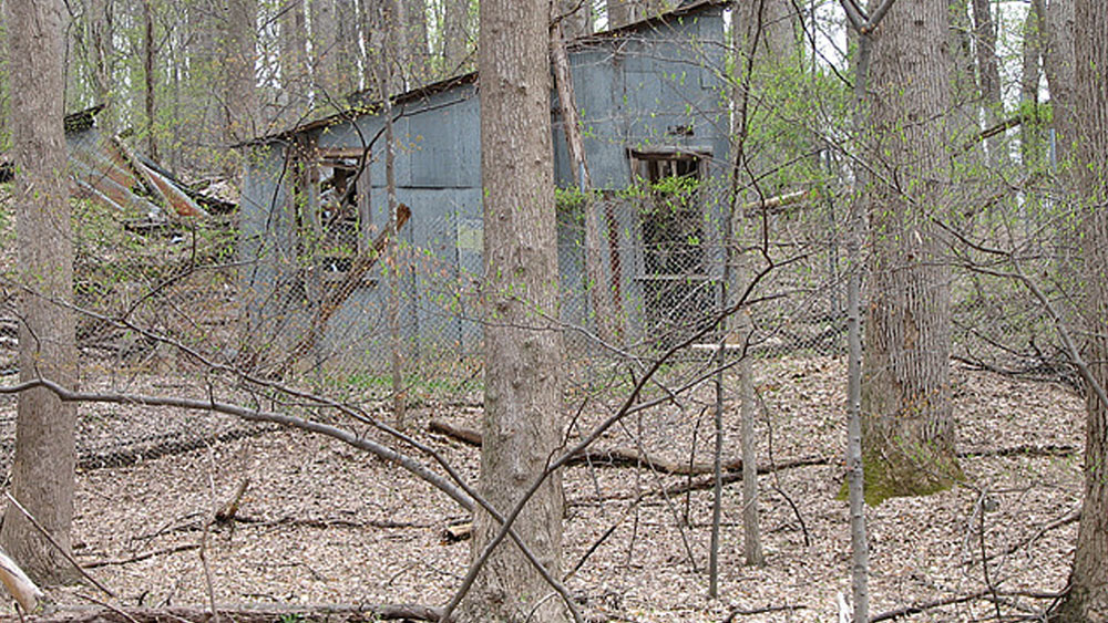 তবে এই এলাকায় এখনও সোনার সন্ধান পাওয়া যেতে পারে বলে মনে করেন অনেকেই। কিন্তু কেন আচমকা বন্ধ হয়ে যায় খনিটি?