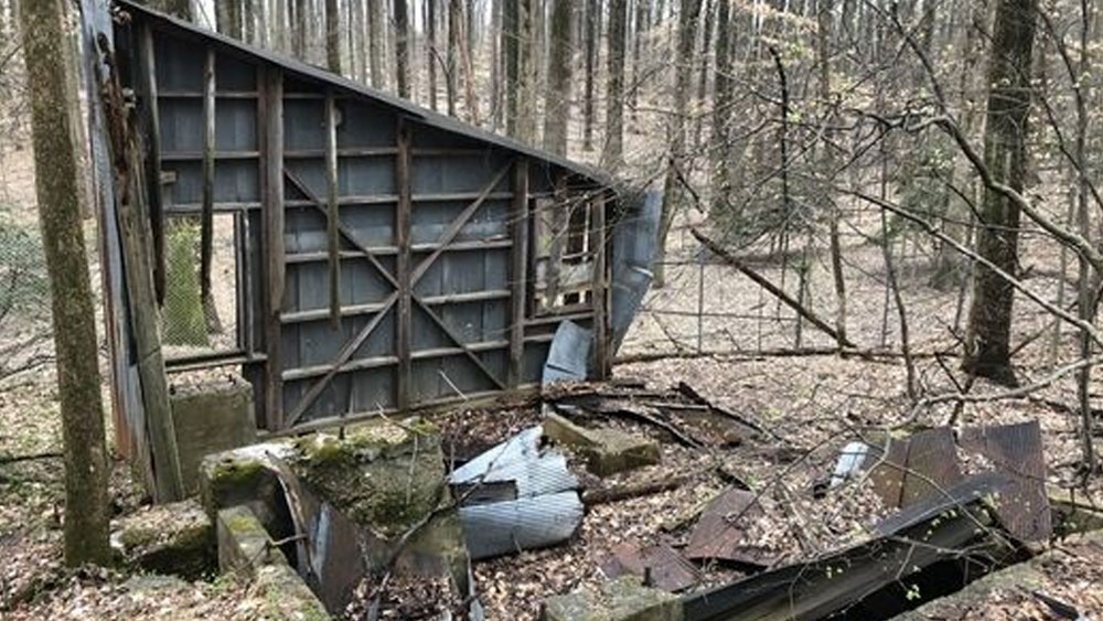 ১৯৩৯ সাল পর্যন্ত টানা সোনা উত্তোলন করে ওই সংস্থা। কিন্তু তার পরই ওই সংস্থা বন্ধ হয়ে যায়। সংস্থার মূল্যবান সরঞ্জামও ক্রমশ হয় ক্ষয়প্রাপ্ত হয়ে গিয়েছে কিংবা চুরি হয়ে গিয়েছে।