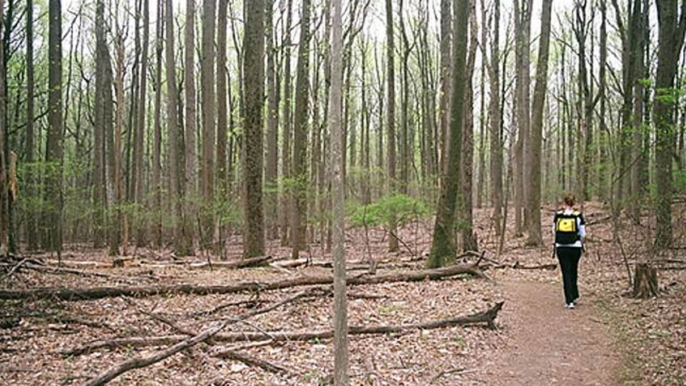 রমরমিয়ে সোনা উত্তোলন শুরু হয় সেখানে। কিন্তু আজ সেই খনি পুরোপুরি পরিত্যক্ত। কাঁটাতারের বেড়ার ওপারে আজও ভাঙাচোরা কিছু যন্ত্রপাতি এবং ইতিউতি পড়ে থাকা ধ্বংসাবশেষ ছাড়া আর কিছুই চোখে পড়বে না।