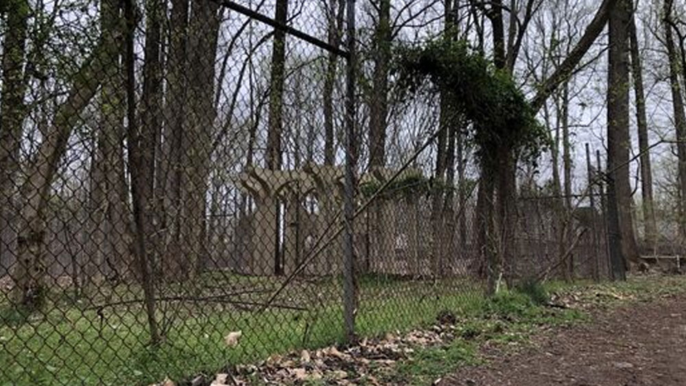 খবরটা একেবারেই ভুল ছিল না। সত্যিই সোনার সন্ধান মেলে ওই জলে। পর দিন থেকেই সোনার খনি হিসাবে চিহ্নিত হয়ে যায় ওই অঞ্চল।