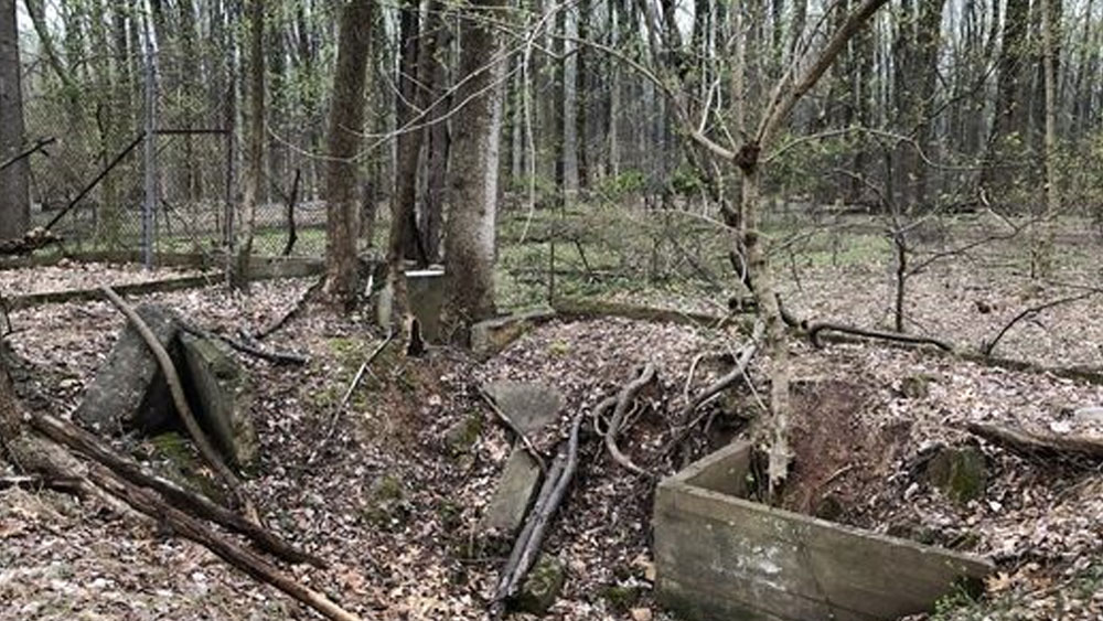 মুহূর্তে খবর ছড়িয়ে পড়ে নদীর জলে সোনা রয়েছে। বিশেষজ্ঞ দল এসে হাজির হন সেই এলাকায়। শুরু হয় পরীক্ষা।