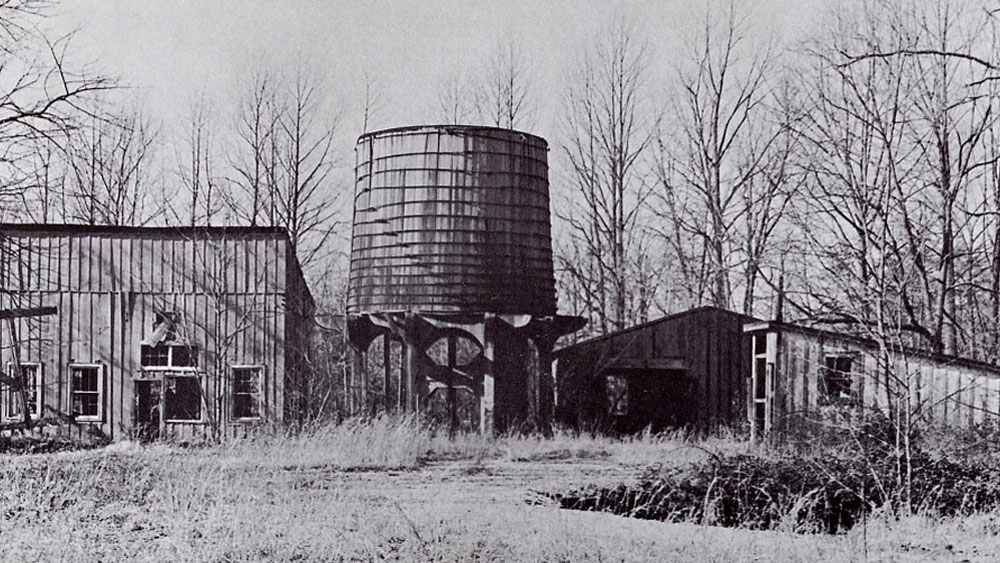 খাবার খেয়ে নদীর জলে বাসন ধুতে গিয়েছিলেন এক সেনা। তখনই চোখ আটকে যায় জলে পড়ে থাকা সোনালী রঙের চকচকে ধাতুর দিকে।