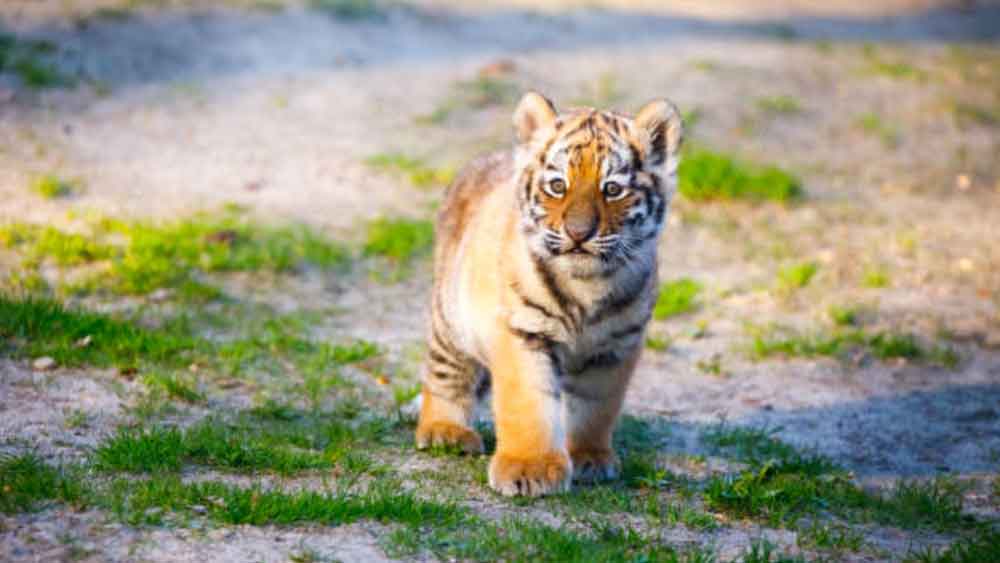 প্রতীকী চিত্র।