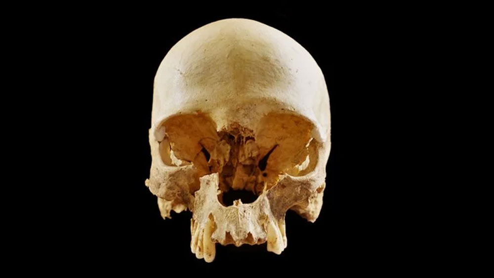 তবে কী ভাবে গুহার মধ্যে খুলিটি এসে পৌঁছলো সে রহস্যের সমাধান হলেও কেন তাঁর মৃত্যু হয়েছিল এবং কেনই বা তাঁর খুলি থেকে মাংস খুবলে নেওয়া হয়েছিল সে সমস্ত প্রশ্নের উত্তর এখনও অধরা।