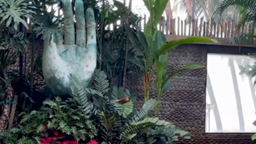 পাথরের বড় হাতের প্রতিরূপ এবং বুদ্ধের মূর্তি রয়েছে বাগানে। দিনে অন্তত একবার বাগানে এসে বসেন শিল্পা। তাঁর যোগা অনুশীলনের সঙ্গী এই বাগান।