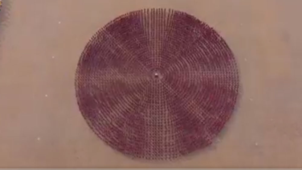 শাওলিন মঠে প্রচুর পড়ুয়া কুংফু শেখেন। এক বার উপগ্রহ চিত্রে তাঁদের কুংফু প্রদর্শনের অভিনব ভিডিয়ো ধরা পড়েছিল। অত্যন্ত শৃঙ্খলাপরায়ণ এবং সুসংসঠিত ভঙ্গিতে কুংফু প্রদর্শনের সেই ভিডিয়ো ভাইরাল হয়েছিল।