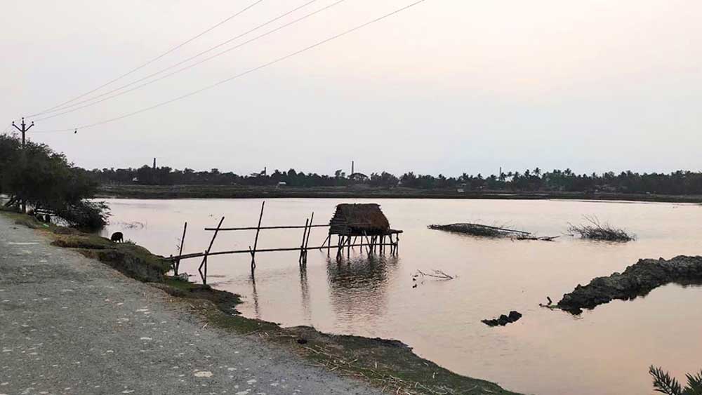 এই সব ভেড়ি এলাকা ঘিরেই আবর্তিত হয় হাড়োয়ার রাজনীতি। নিজস্ব চিত্র।