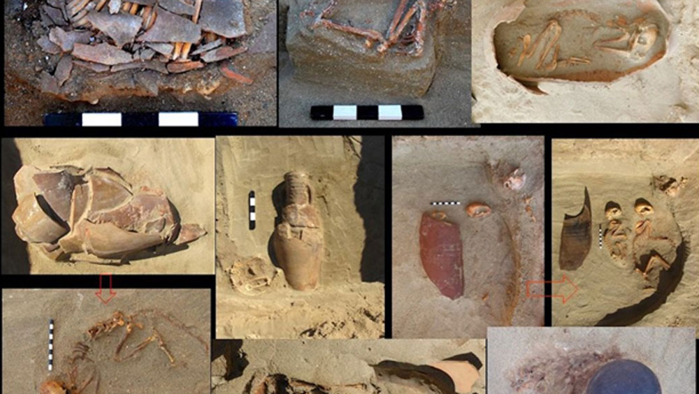 কোনও প্রাণীর শরীরে শুধুমাত্র কাপড় জড়িয়ে আবার কোনওটায় কাপড় জড়ানো ছাড়াই কবর দেওয়া হয়েছিল।