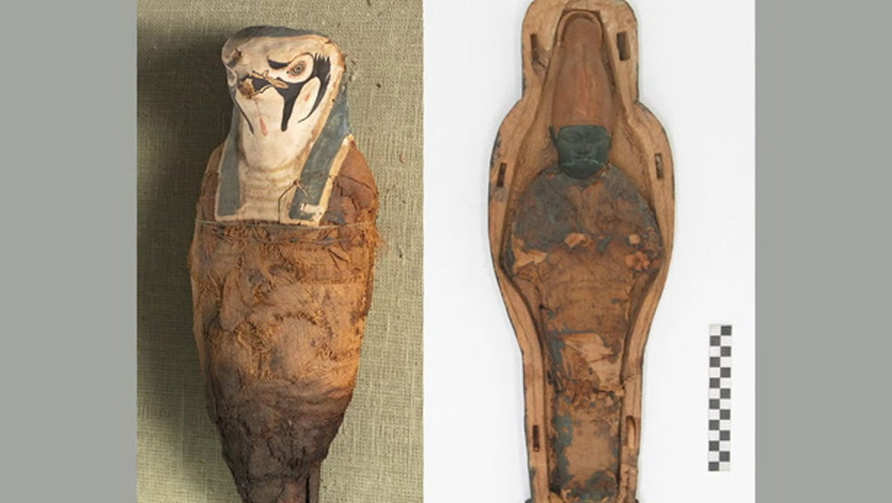 প্রতিটি প্রাণীর কবরেই রাজকীয়তা লক্ষ্য করা গিয়েছে। কোনও প্রাণীকে উলের গরম জামা জড়িয়ে কবর দেওয়া হয়েছিল। কোনও প্রাণীর গলায় সুন্দর কারুকার্য করা বেল্ট পরানো ছিল।