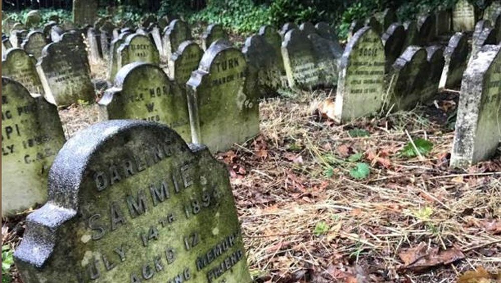 কবরস্থানের ৯০ শতাংশ কবরই বিড়ালের, ৫ শতাংশ কুকুরের। বাকি ৫ শতাংশের মধ্যে বিভিন্ন প্রাণী রয়েছে।