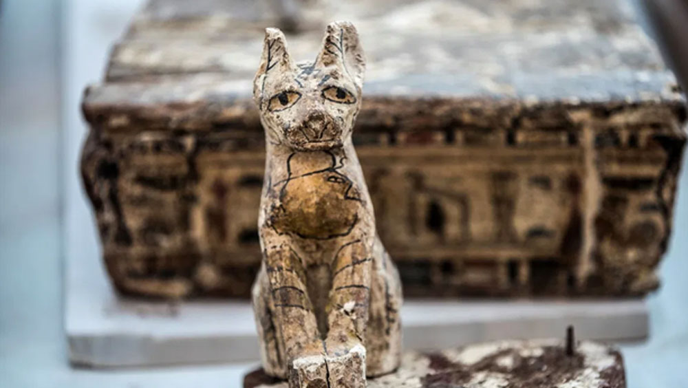 ২০১ থেকে খনন শুরু করলেও প্রথম প্রাণীর কঙ্কালের সন্ধান পান ২০১৬ সালে। ওই বছর তাঁরা শ’খানেক কঙ্কাল খুঁড়ে বার করেন এবং সেগুলির পরীক্ষা করেন। কিন্তু তখনও তাঁরা জানতেন না এটি পোষ্যদের কবরস্থান ছিল না কি ভাগাড়ের মতো কিছু ছিল।