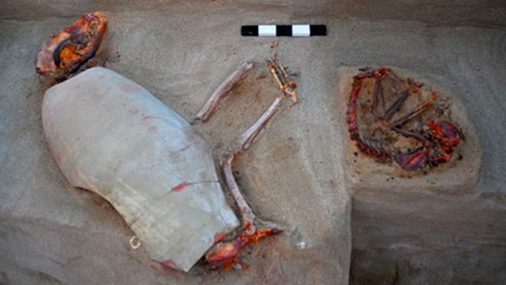 ২০১১ সালে অসিপিন্সকা এবং তাঁর দলবল প্রথম এই কবরস্থান খুঁজে পান। মিশরের শহর বেরেনিসের একটি আবর্জনা ফেলার জায়গার নীচে মাটি খুঁড়ে বার করতে হয় কবরস্থানটি।