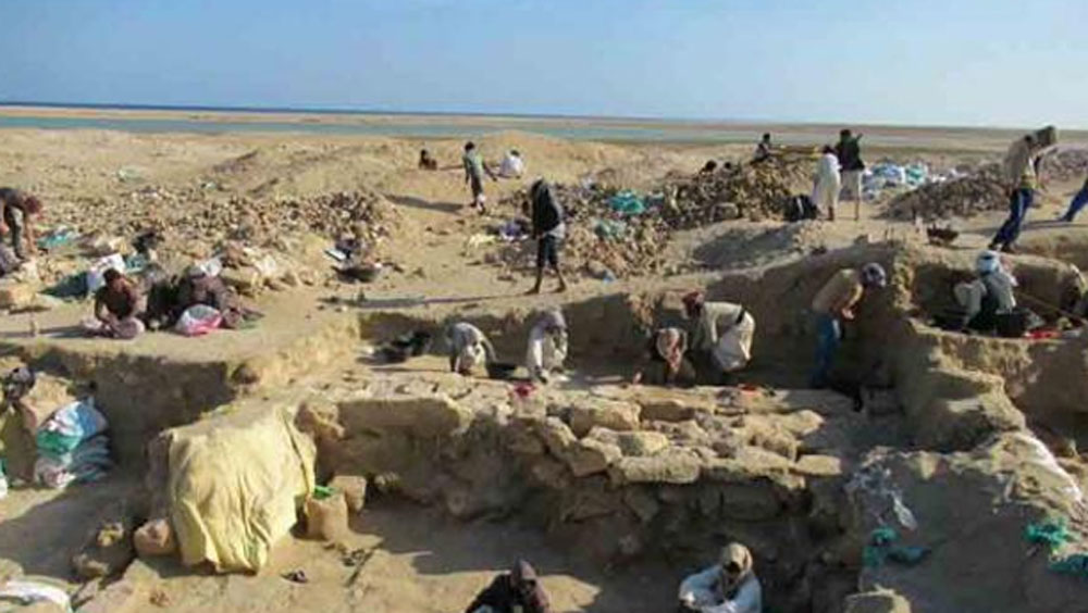 সব মিলিয়ে প্রায় ৫৮৫টি প্রাণীর কবরের সন্ধান পেয়েছেন তাঁরা। তাঁদের এই খোঁজ ওয়ার্ল্ড আর্কিওলজি নামে একটি জার্নালে প্রকাশিত হয়েছে।