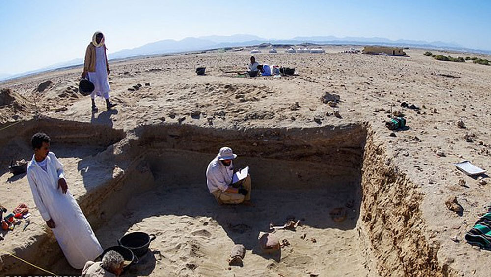 সম্প্রতি পোষ্যদের সেই কবরস্থানের সন্ধান মিলেছে এই বেরেনিসের তলায়। মাটি খুঁড়ে যার খোঁজ দিয়েছেন প্রত্নতত্ত্ববিদ মার্টা অসিপিন্সকা এবং তাঁর সহযোগীরা। এটি বিশ্বের সবচেয়ে পুরনো পোষ্যদের কবরস্থান কি না তা নিয়ে গবেষণা চলছে।