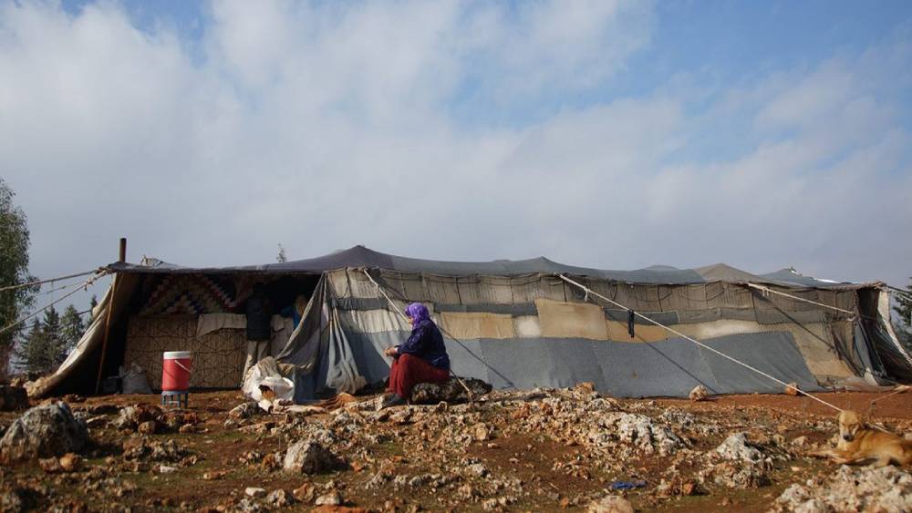 ২০১৯ সালে আবার ফিরতে চেয়েছিলেন লন্ডনে। কিন্তু পারেননি। শামিমা বেগমের ঠাঁই এখন উত্তর পূর্ব সিরিয়ার এক ক্যাম্পে। বিশ্বের কাছে তাঁর পরিচয়, ‘জিহাদি’।