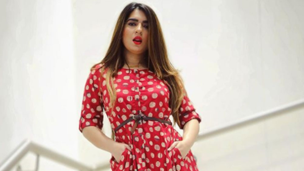 জোম্যাটো ডেলিভারি বয় তাঁর নাক ফাটিয়ে দিয়েছেন বলে ভিডিয়ো শেয়ার করে অভিযোগ করেছিলেন হিতেশা।