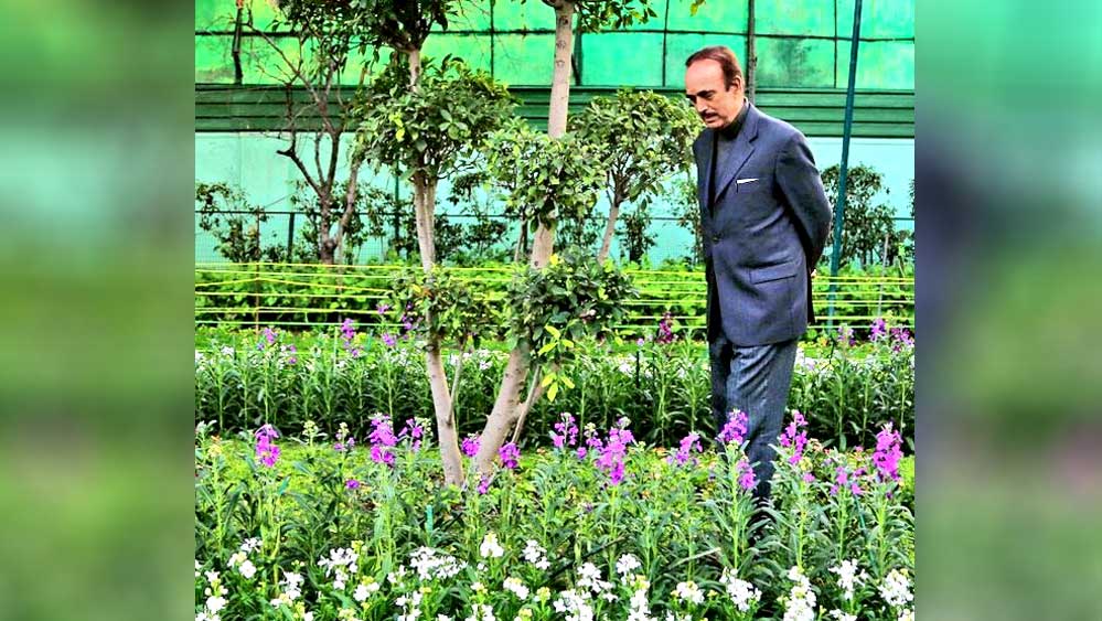 শোভা: দিল্লির বাড়ির বাগানে গুলাম নবি