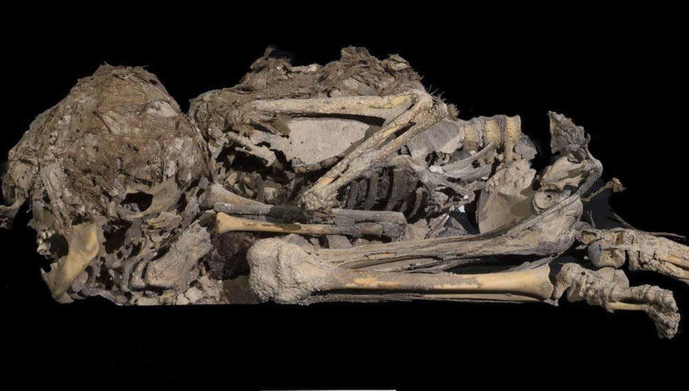 সম্প্রতি সেখান থেকে উদ্ধার হল একটি শিশুর কঙ্কাল। যার বয়স ৬ হাজার বছর। গুহার মধ্যে দুটো পাথরের ভিতরে চাপা পড়েছিল কঙ্কালটি।