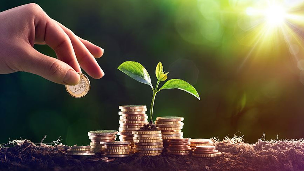 আইডিবিআই ফোকাসড ৩০ ইক্যুইটি ফান্ড-এর ক্রিসিল রেটিং ৩ এবং গত তিন বছরে বৃদ্ধির হার ৪.১২ শতাংশ।