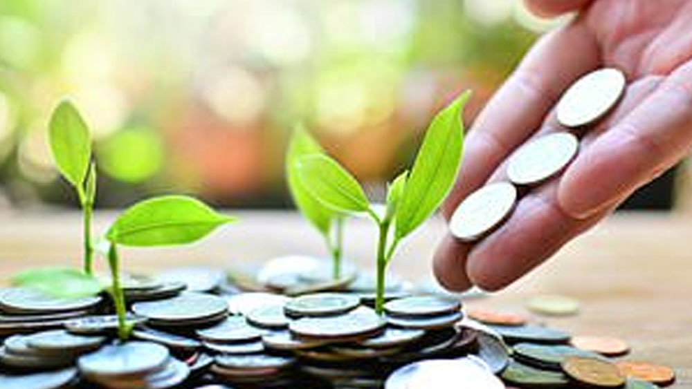 কোয়ান্টাম লং টার্ম ইক্যুইটি ভ্যালু ফান্ড গ্রোথ-এর ক্রিসিল রেটিং ৩ এবং গত তিন বছরে বৃদ্ধির হার ১০.০৮ শতাংশ।