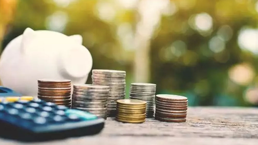 ইন্ডিয়া বুলস ভ্যালু ফান্ড গ্রোথ-এর ক্রিসিল রেটিং ২ এবং গত তিন বছরে বৃদ্ধির হার ৪.১৪ শতাংশ।