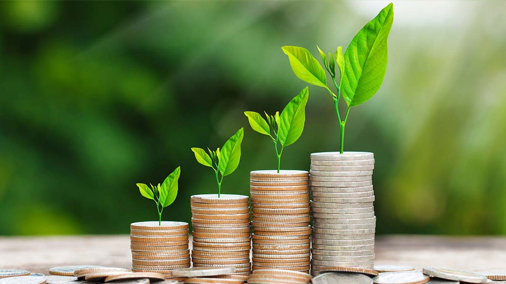 ক্রিসিল রেটিংয়ে ৪ স্টার পেয়েছে কোটাক ট্যাক্স সেভার স্কিম-ও, গত তিন বছরে যার বৃদ্ধির হার ১২.৯৭ শতাংশ।