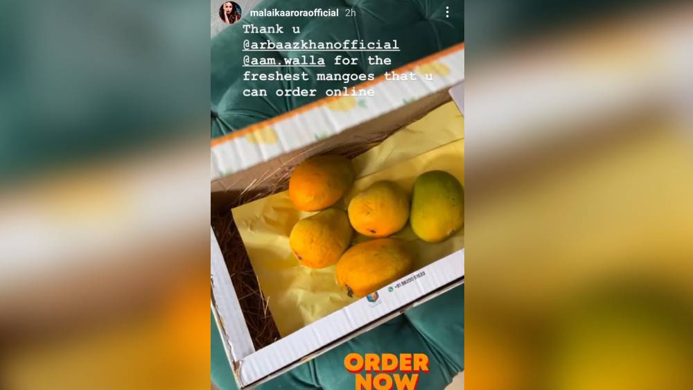 মালাইকাকে আরবাজের উপহার