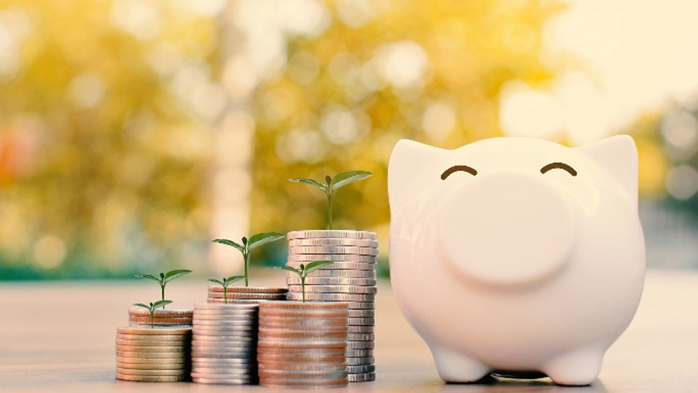 ইনভেস্কো ইন্ডিয়া শর্ট টার্ম ডেট ফান্ড-এর ক্রিসিল রেটিং ৩। গত ৬ বছরে বৃদ্ধির হার ১.৬০ শতাংশ।